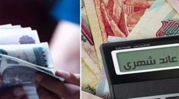 أيهما تختار؟.. مقارنة لأعلى عائد شهادات البنوك بعد تغيير الفائدة الأخير